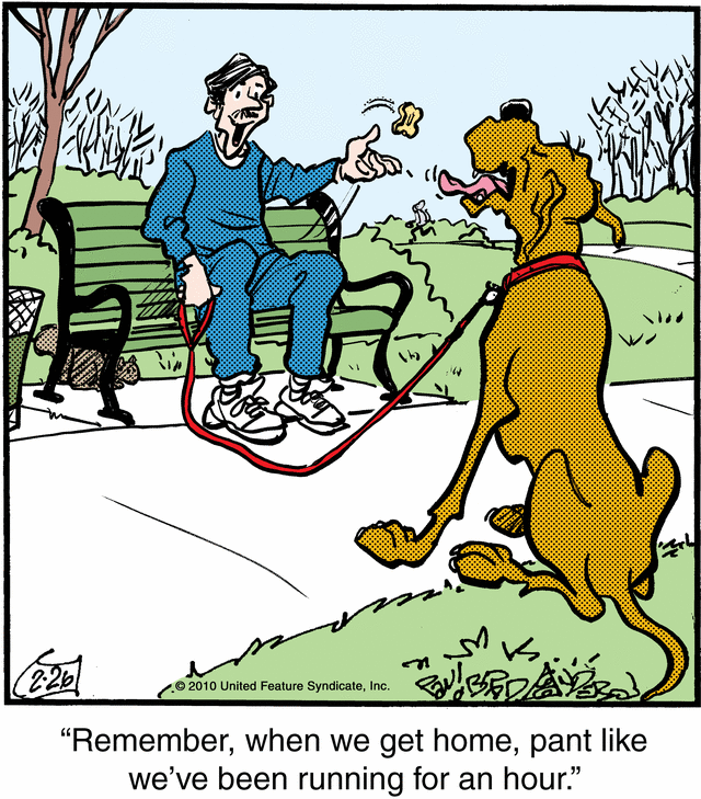 marmaduke